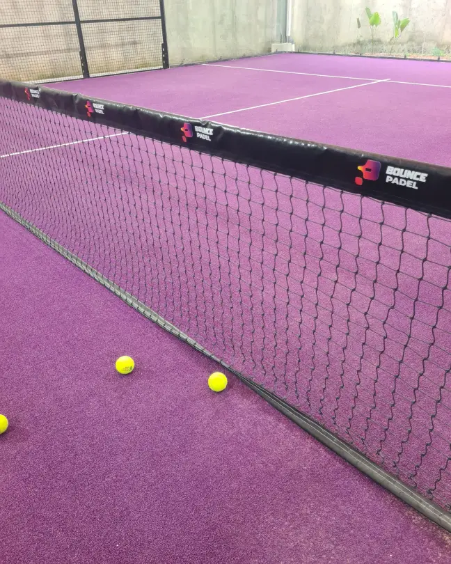 Net on purple turf