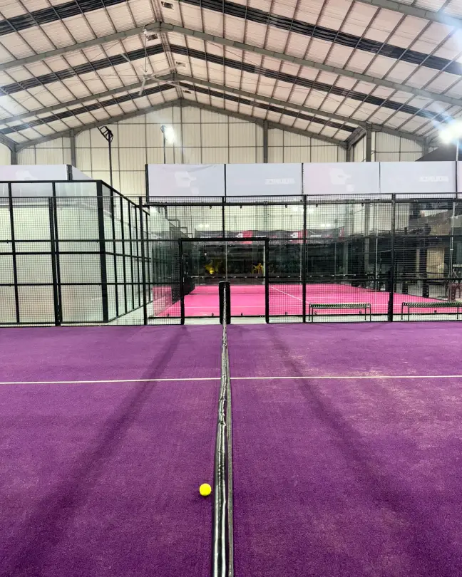 A purple court seen across the net